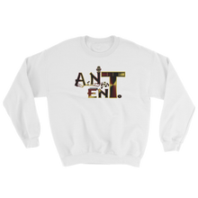 A.N.T Ent. Sweatshirt